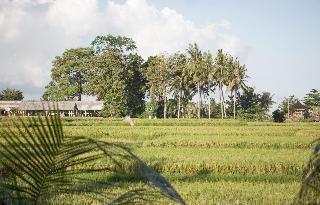 Soulshine Bali fotoÄŸrafÄ±