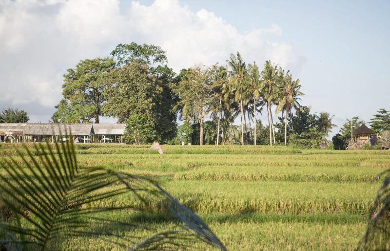 Soulshine Bali - Genel
