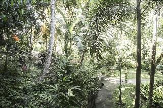 Soulshine Bali fotoÄŸrafÄ±