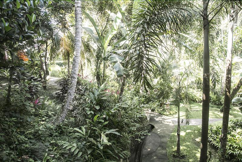 Soulshine Bali - Oda