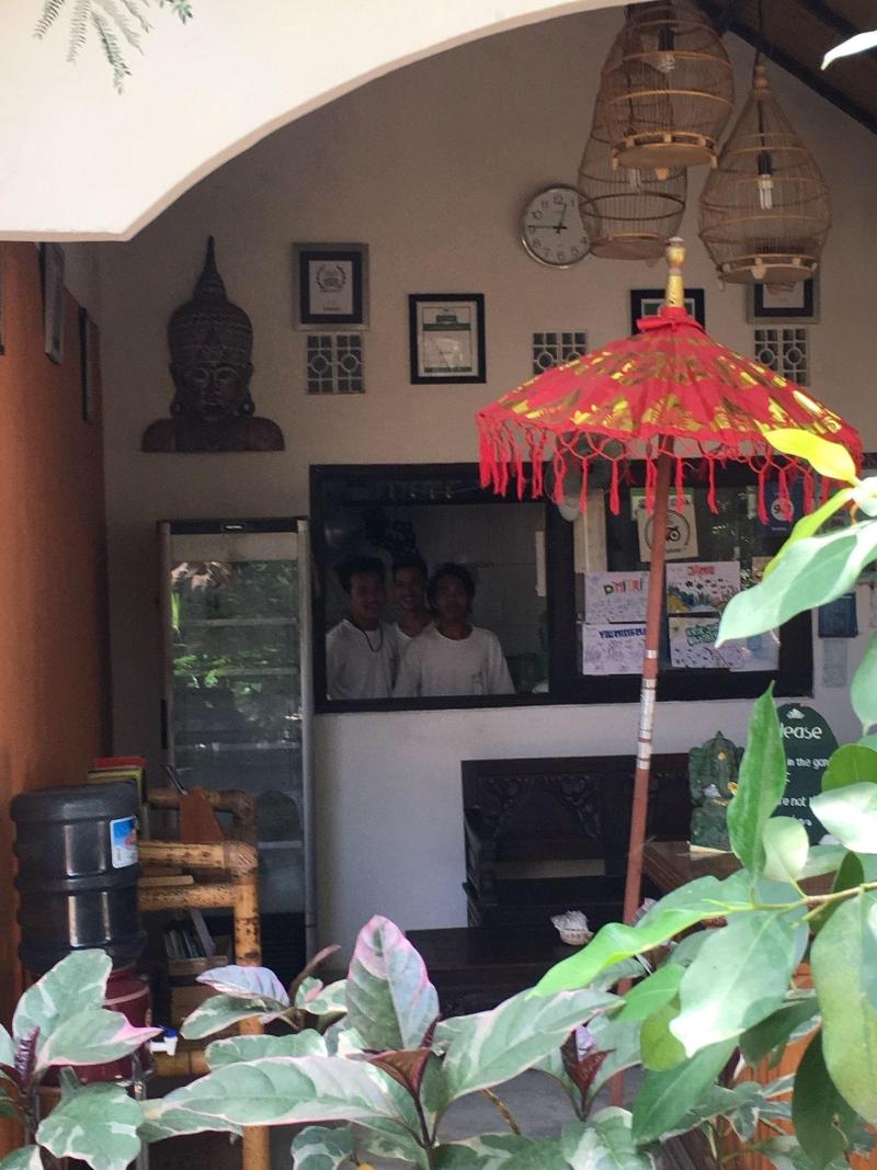 Gili Nyepi - Genel