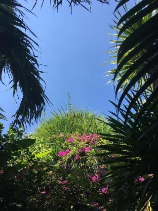 Gili Nyepi fotoÄŸrafÄ±