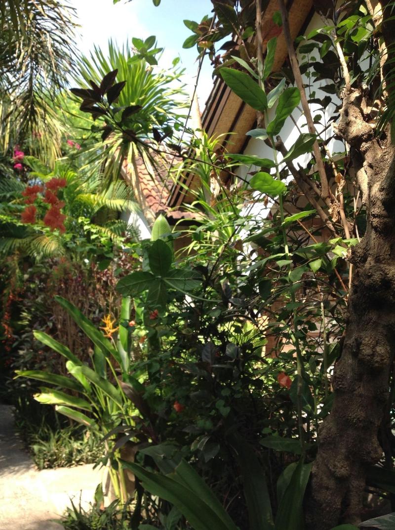 Gili Nyepi - Genel