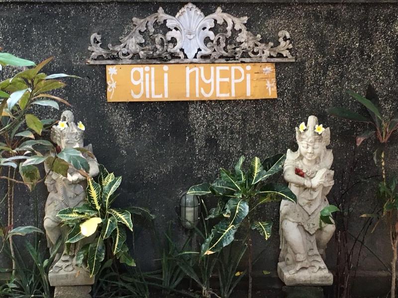 Gili Nyepi - Genel