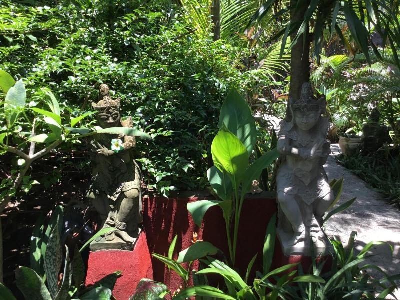 Gili Nyepi - Genel
