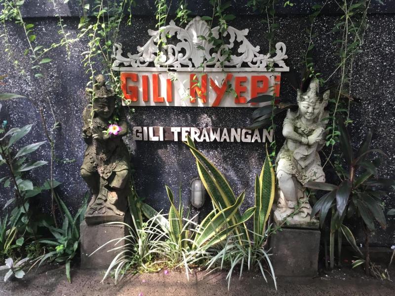 Gili Nyepi - Genel