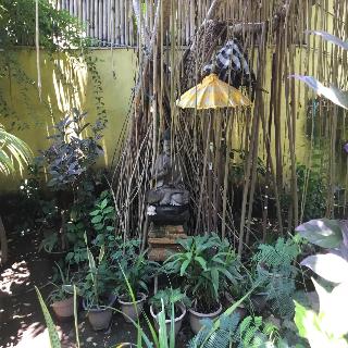 Gili Nyepi fotoÄŸrafÄ±