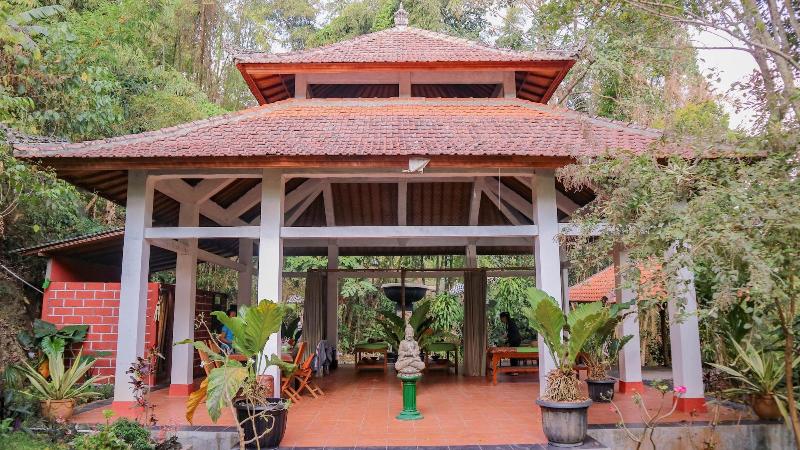 Puri Sunny Guesthouse - Aktivite
