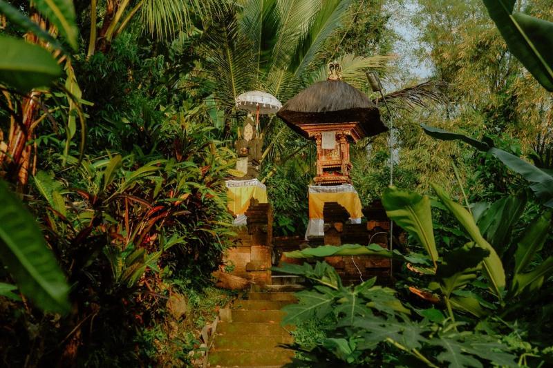 Puri Sunny Guesthouse - Genel