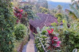 Puri Sunny Guesthouse fotoÄŸrafÄ±