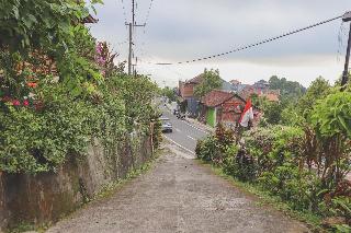 Puri Sunny Guesthouse fotoÄŸrafÄ±