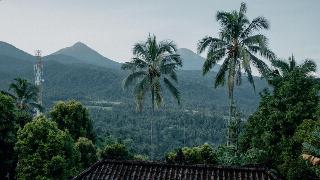 Puri Sunny Guesthouse fotoÄŸrafÄ±