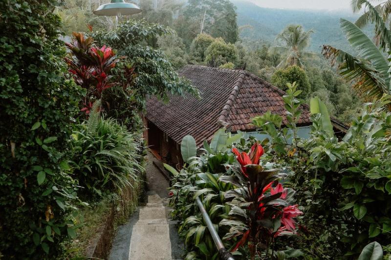 Puri Sunny Guesthouse - Oda