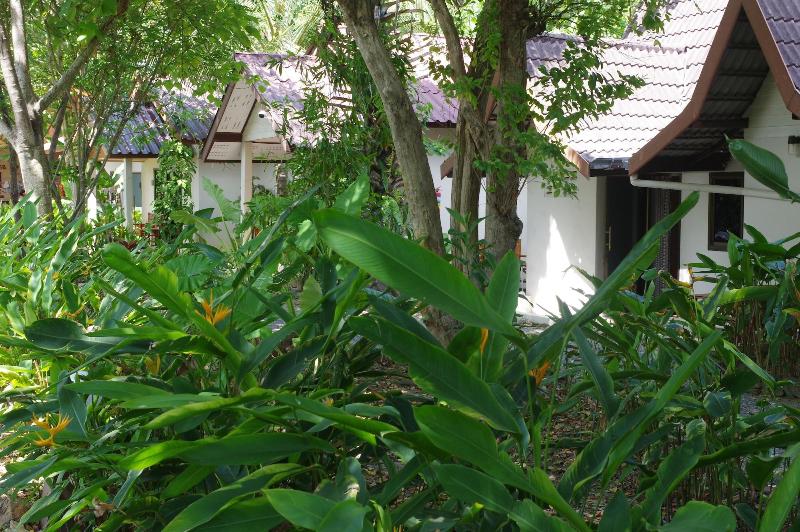 Thai House Beach Resort - Genel