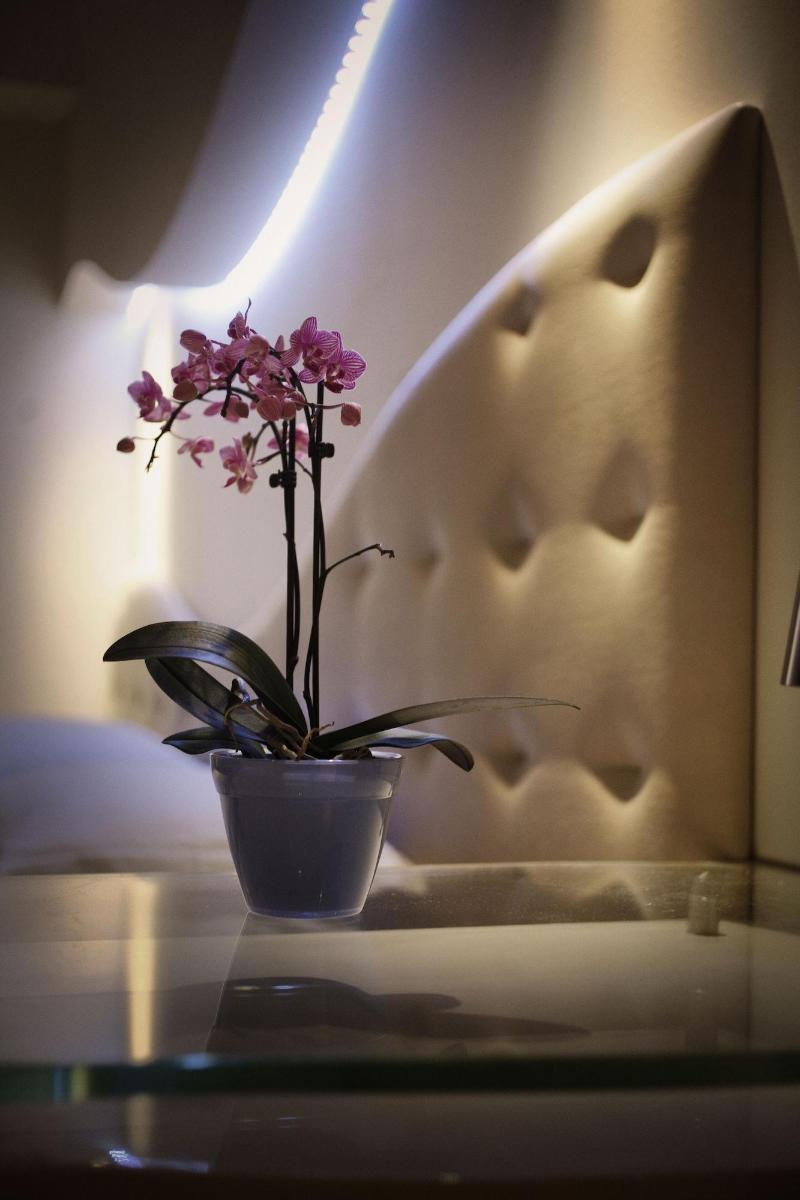 Bellariva Family Hotel - Oda