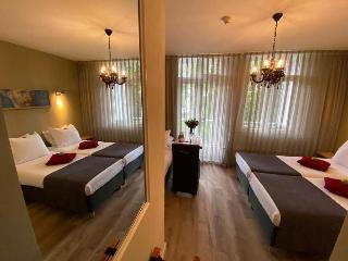 Alp Hotel Amsterdam fotoÄŸrafÄ±