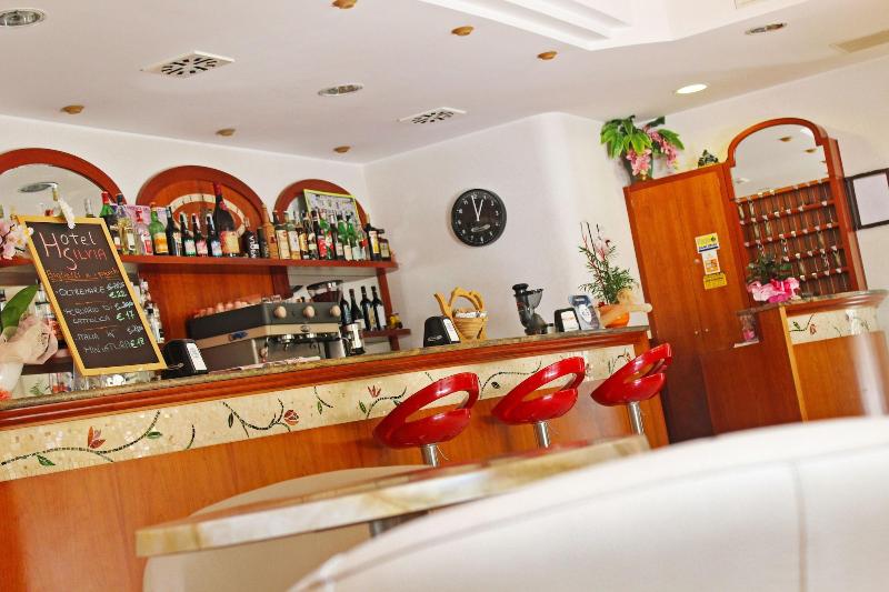 Hotel Silvia Misano Adriatico - Bar