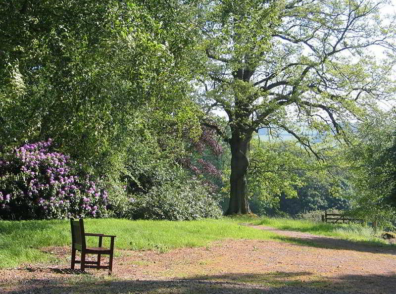 Cringletie House Hotel fotoÄŸrafÄ±