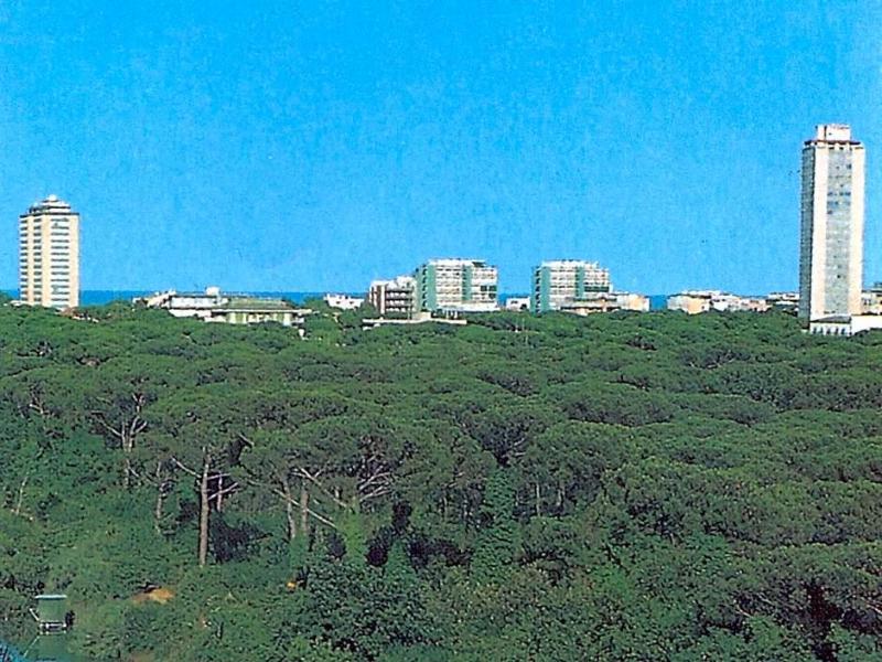 Hotel Caesar - Genel
