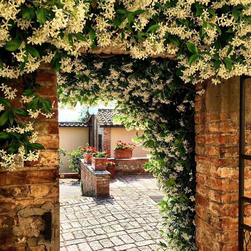Hotel Santa Caterina Siena - Genel