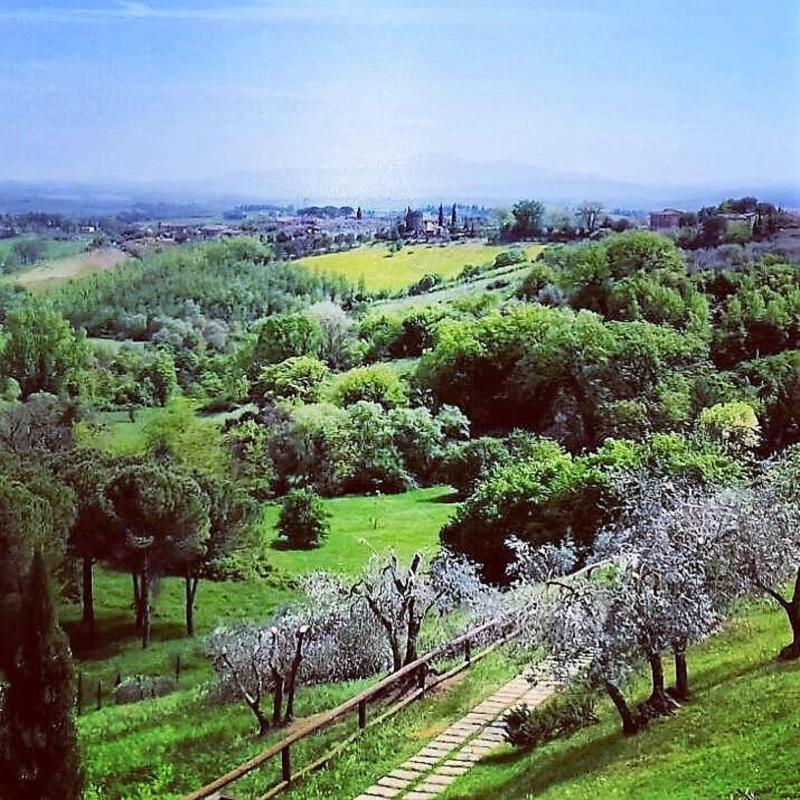 Hotel Santa Caterina Siena - Genel