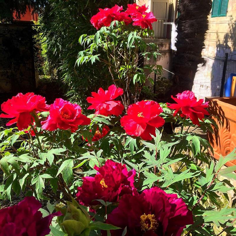 Hotel Santa Caterina Siena - Genel