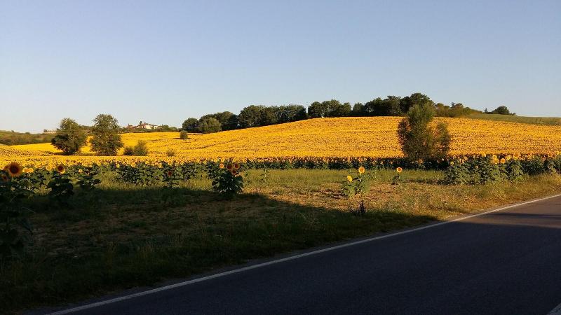 Hotel 1000 Miglia - Genel