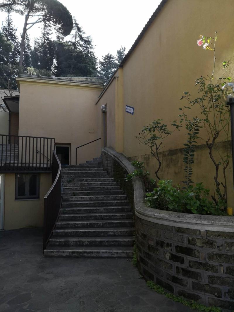 Domus Getsemani - Genel