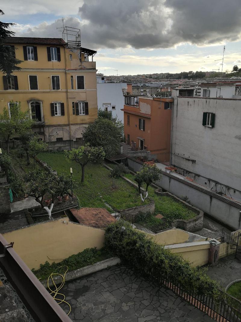 Domus Getsemani - Genel
