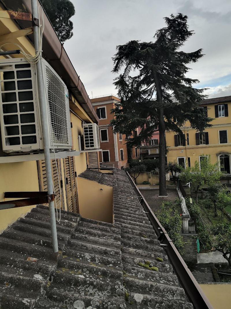Domus Getsemani - Genel