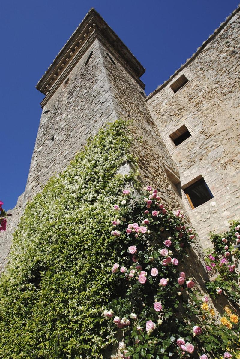 Albergo Torre Sangiovanni - Genel