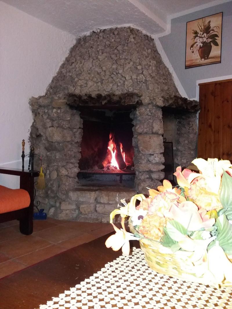 Hotel Pinguino - Lobi