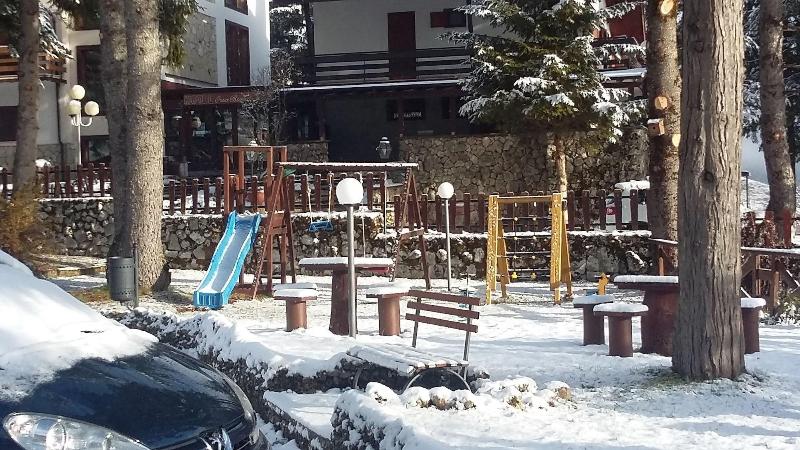 Hotel Pinguino - Genel