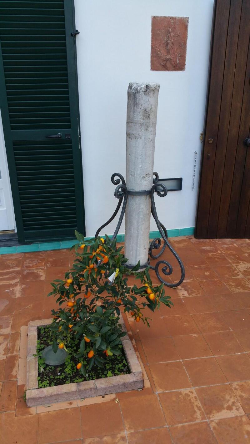 Hotel Villa Annalara - Genel