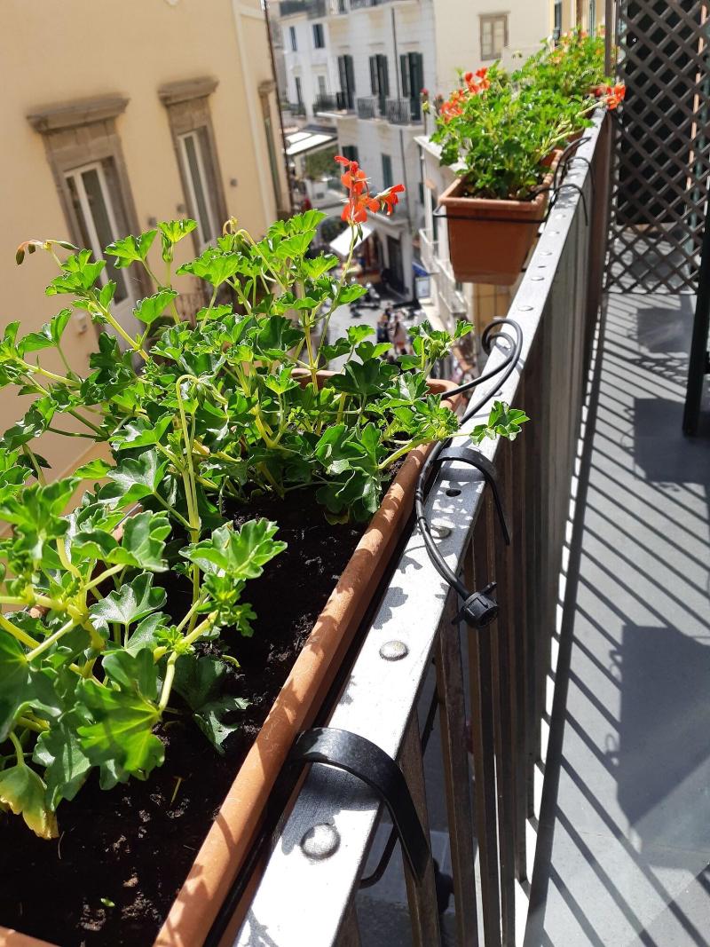 Hotel Antica Repubblica - Oda