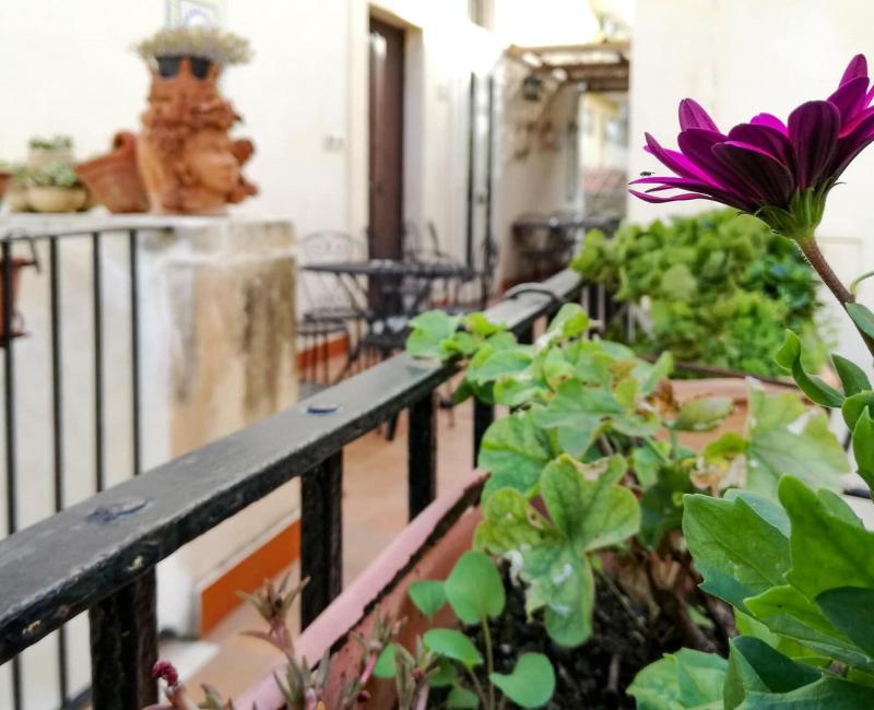 Piccolo Hotel Casa Mia - Teras