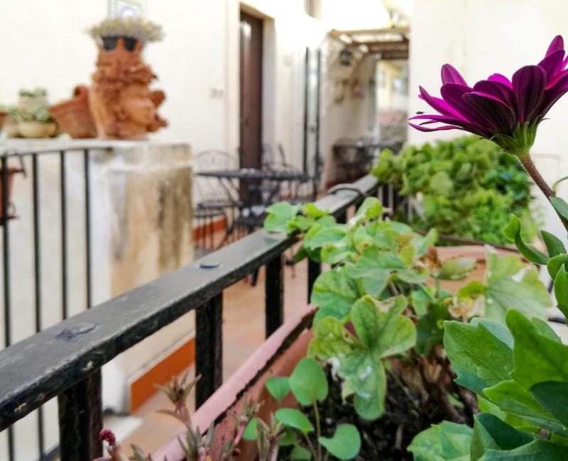 Piccolo Hotel Casa Mia - Teras