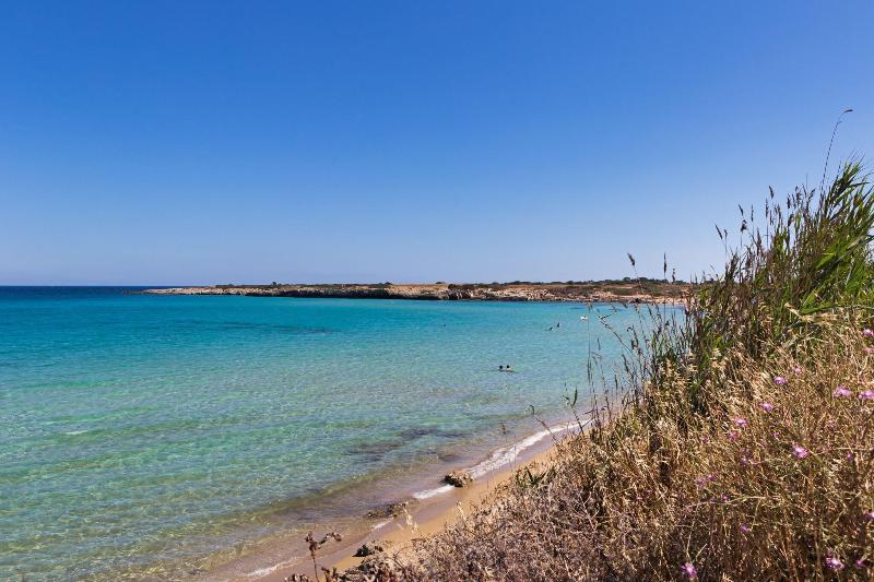 Wellness & Spa Hotel Principe di Fitalia - Plaj
