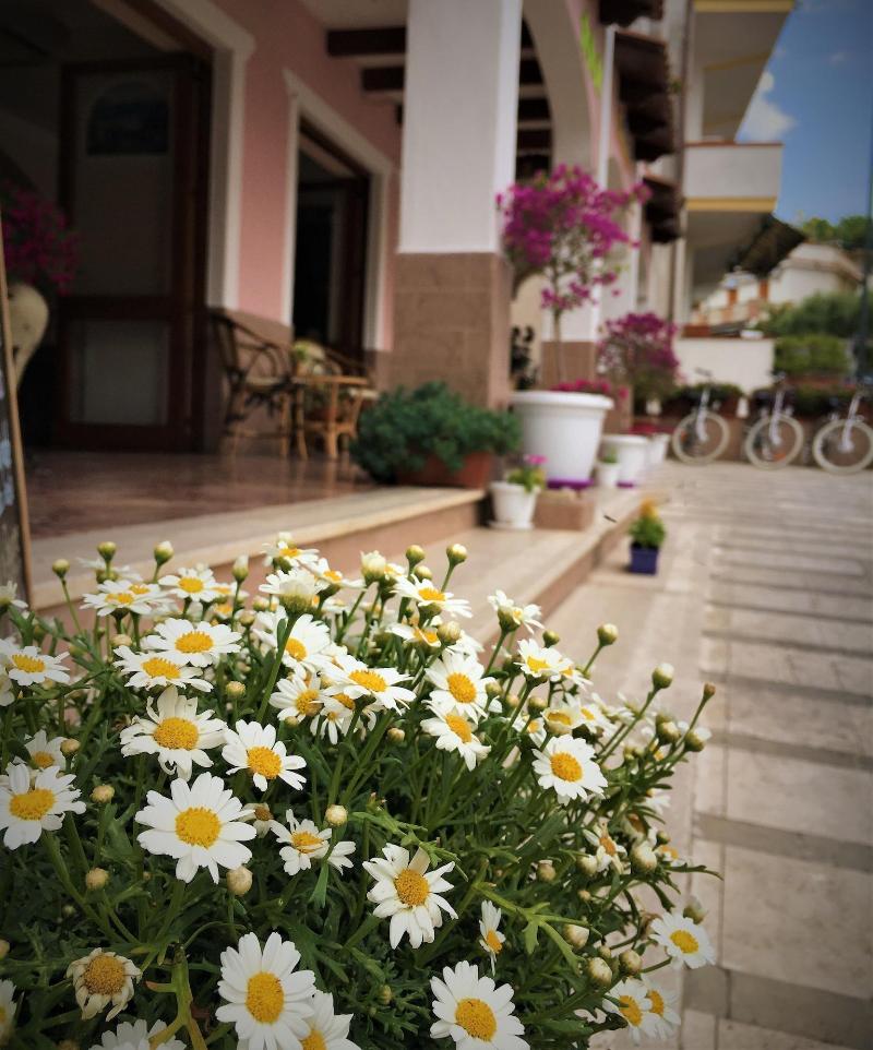 Le Tre Caravelle Hotel - Aktivite