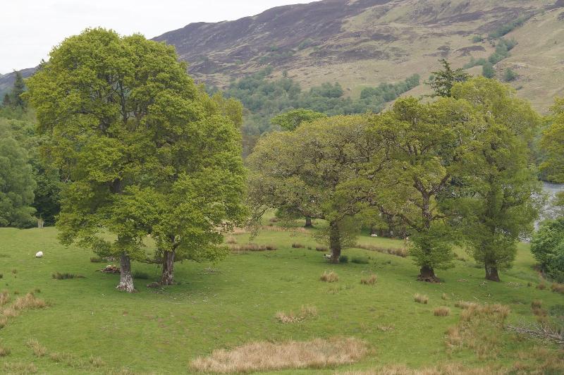 Glengarry Castle Hotel - Genel