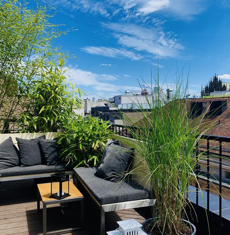 ART HOUSE Basel - Member of Design Hotels - Teras