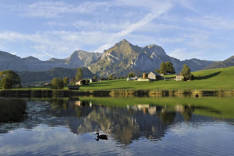 Hotel Sonne - Genel