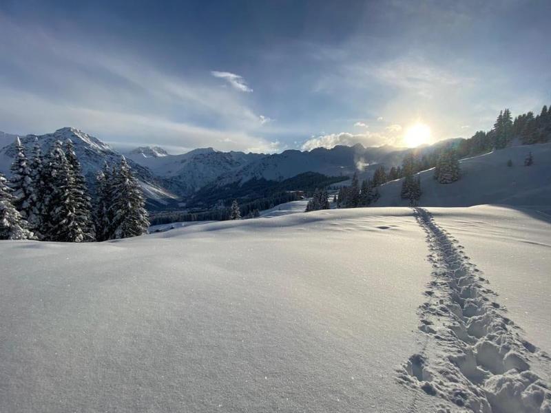 Home Hotel Arosa - Aktivite