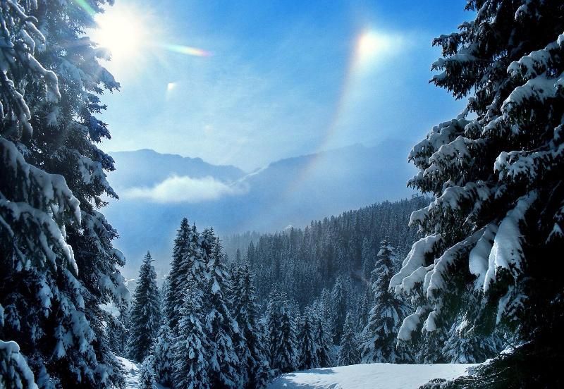 Home Hotel Arosa - Genel
