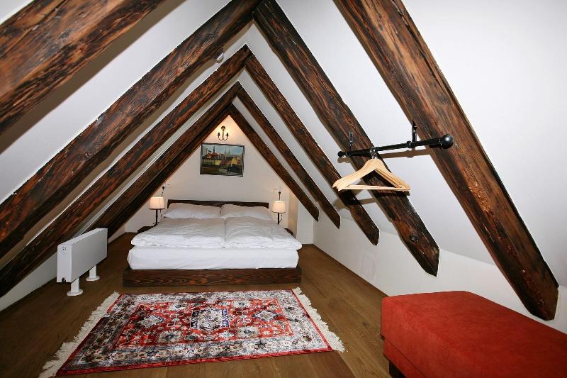 Residence U Mecenáše - Oda