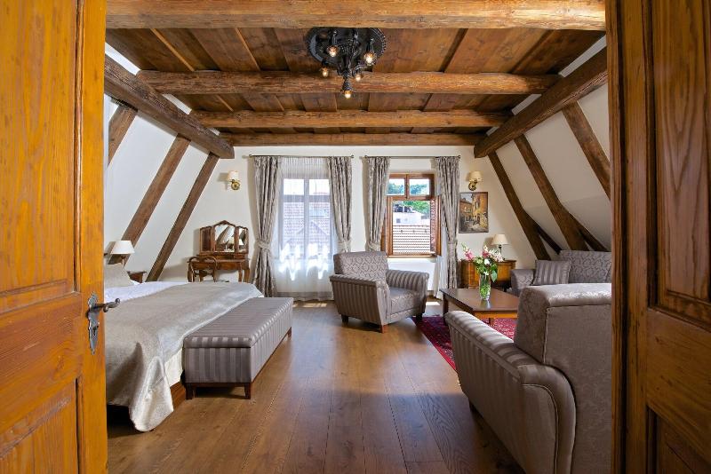 Residence U Mecenáše - Oda