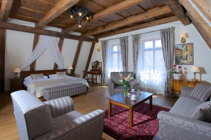 Residence U Mecenáše - Oda