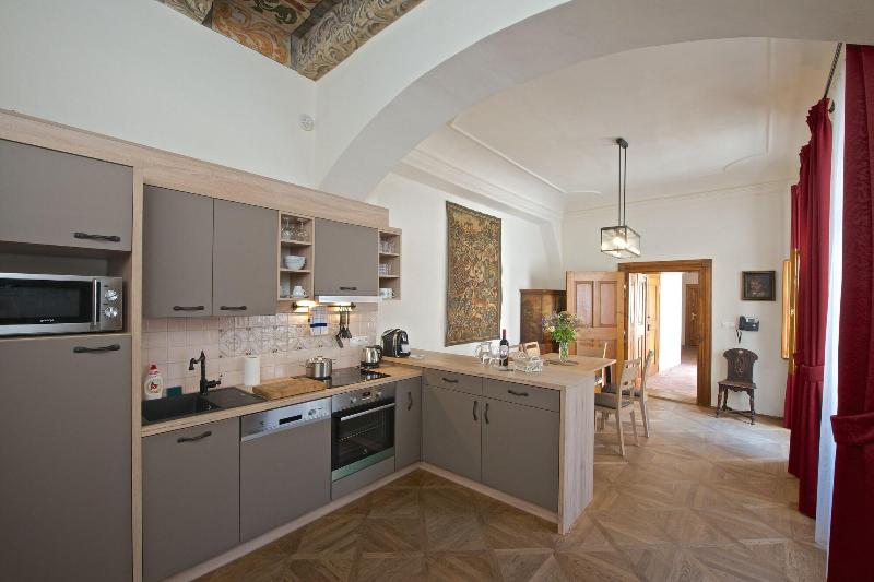 Residence U Mecenáše - Oda