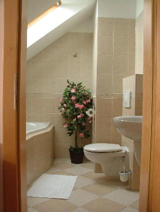 Hotel Vitkova Hora fotoÄŸrafÄ±