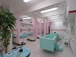 Ea Hotel Elefant fotoÄŸrafÄ±